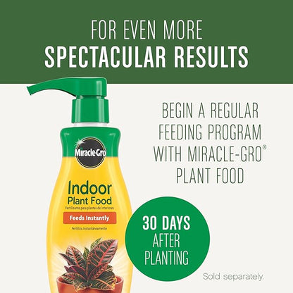Miracle-Gro Houseplant Potting Mix: Fertilized, Perlite Soil for Indoor Gardening, Designed to Be Less Prone to Gnats, 4 qt.