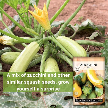 Sow Right Seeds - Zucchini Mix Seed for Planting - Non-GMO Heirloom Packet with Instructions to Plant and Grow an Outdoor Home Vegetable Garden - Vigorous and Productive Variety Pack (3)