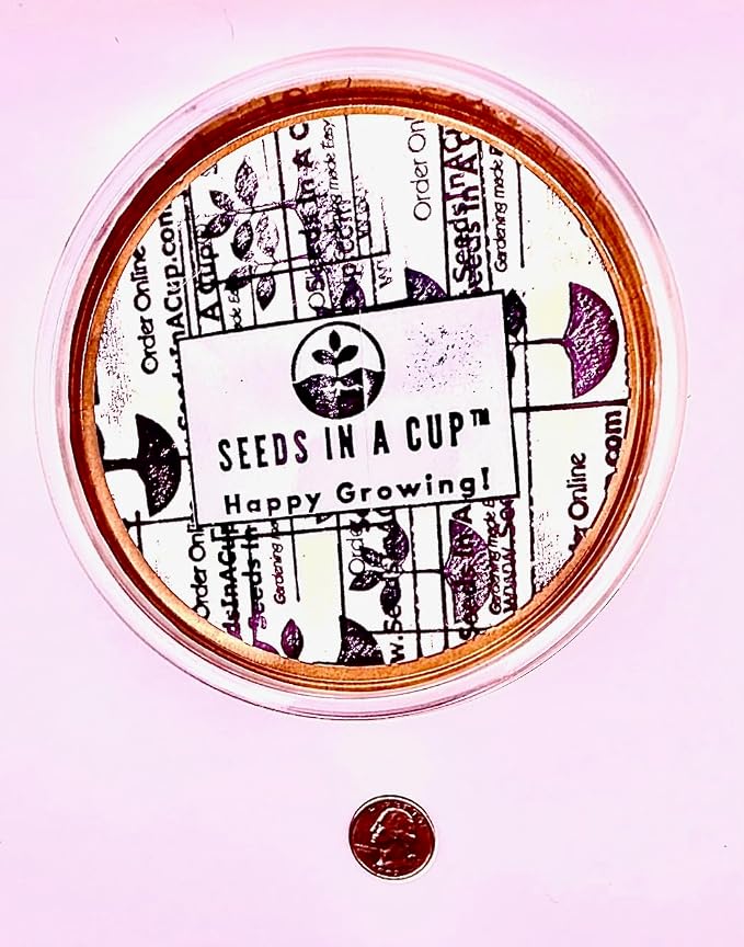 Ash Tree | Seeds In A Cup: Ash Tree Starter Kit | Easy to use | Educational | Memorial Gift | Plant It for The Planet | Grow Your Own Tree | Plastic Planter