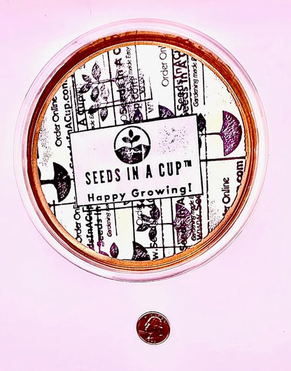 Ash Tree | Seeds In A Cup: Ash Tree Starter Kit | Easy to use | Educational | Memorial Gift | Plant It for The Planet | Grow Your Own Tree | Plastic Planter