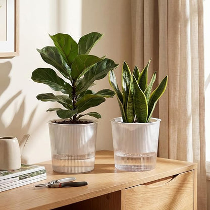 6 Pack Self Watering Pots for Indoor Plants Plastic Vertical Ribbed Semi Transparent Planters, Dual Layer Reservoir for Indoor Succulents Herbs Pothos(Clear, White,6.5 x 5.9 Inch)