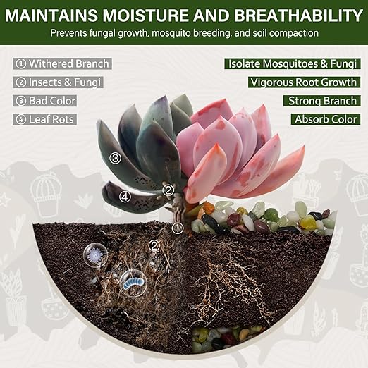 NUPICK 12 lbs Pebbles for Indoor Plants, 3/8 Inch Pea Gravel for Fish Tank, Polished Decorative Rocks for Succulent, Natural River Stones for Vases, Cactus, Landscaping, Bird Bath, Aquarium, Colorful