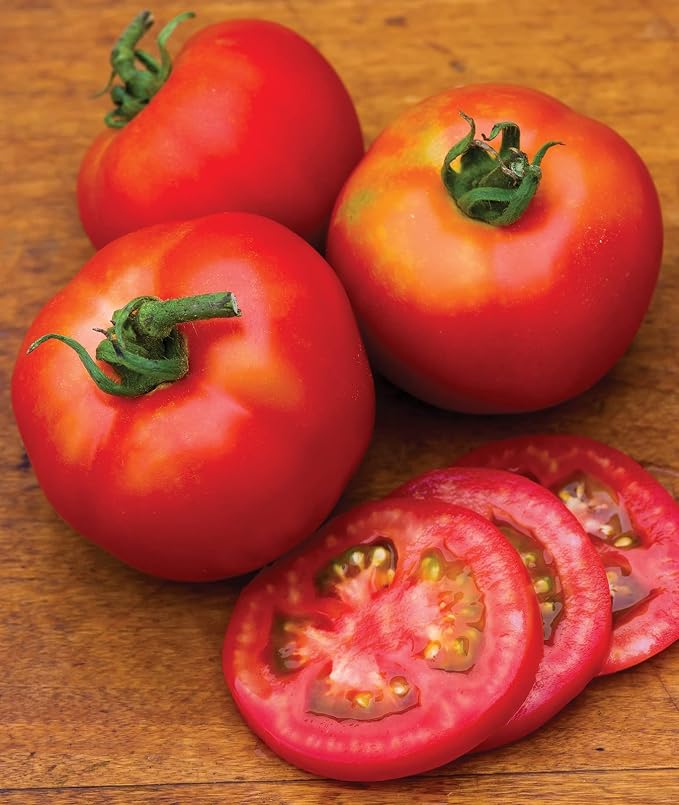Burpee 'Early Girl',Slicing Tomato, 50 Non-GMO Seeds