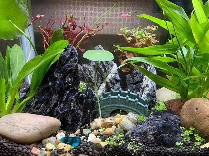 Unocho Seiryu Stone Aquarium Rocks 40lb Natural Fish Tank Rocks for Aquascaping Garden Landscaping Decoration Paludarium Amphibian Enclosures(3-12 Inches)