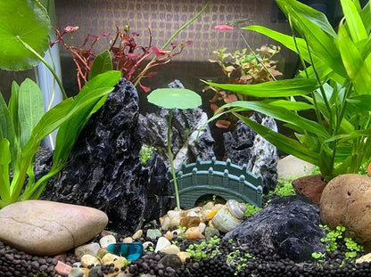Unocho Seiryu Stone Aquarium Rocks 40lb Natural Fish Tank Rocks for Aquascaping Garden Landscaping Decoration Paludarium Amphibian Enclosures(3-12 Inches)