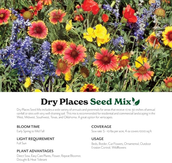 Grow Your Own Vibrant Annual and Perennial Wildflower Garden Mixture, Varieties for Pollinators and Spring Gardens - Dry Places Mix, 5 lbs
