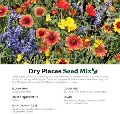 Grow Your Own Vibrant Annual and Perennial Wildflower Garden Mixture, Varieties for Pollinators and Spring Gardens - Dry Places Mix, 1/4 lb