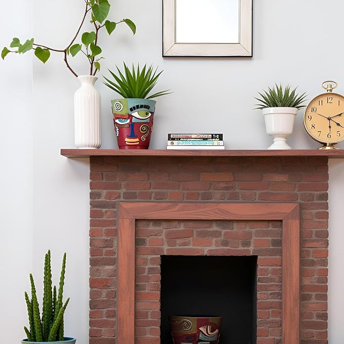 XMGZQ Abstract Cubism Face Planter,Pop Art Sculpture & Vase Decor,Unique Picasso Style Flower Pot,for 4-6 Inch Succulents & Houseplants,Drainage Hole Included,Statement Gift (Modern)
