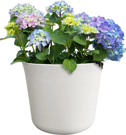 Extra Large 22in Diameter Cream Aspen Resin Planter
