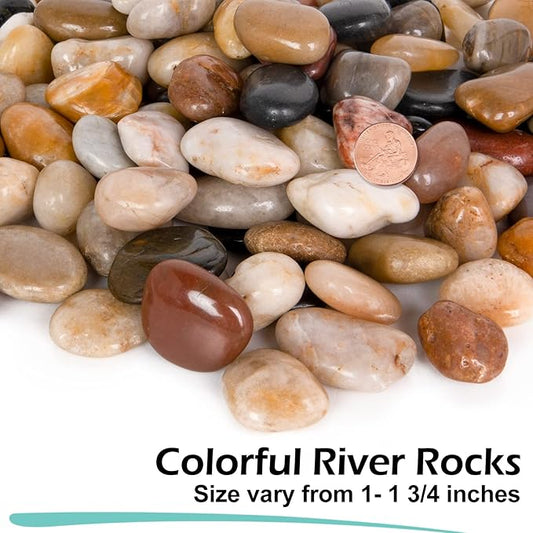GASPRO 30-lb Natural River Rocks for Landscaping, Decorative Rocks for Potted Plants and Aquariums, Polished River Stones for Indoor & Outdoor Decor, 1 to 1 3/4 Inches