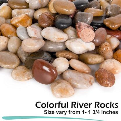 GASPRO 8-lb Natural River Rocks for Landscaping, Decorative Rocks for Potted Plants and Aquariums, Polished River Stones for Indoor & Outdoor Decor, 1 to 1 3/4 Inches