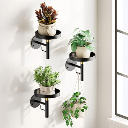 DELLAN Wall Plant Holder, 3 Pack Metal Wall Planters Stand Hanging Shelves for Indoor Plants, Window Sill Plant Decor for Bedroom, Bathroom, Living Room, Home, Office, BlackGold
