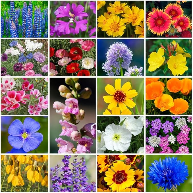 Grow Your Own Vibrant Annual and Perennial Wildflower Garden Seeds Mixture, Varieties for Pollinators and Spring Gardens - Western Regional Mix, 10 lbs