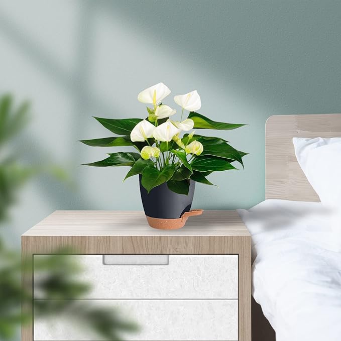 Plant Pots Pack of 5, 7/6.5/6/5.5/5 Inch Self Watering Planters with Drainage Hole Planter for Indoor Plants, Planting Pots for African Violet, Ochid and House Plants (Black)