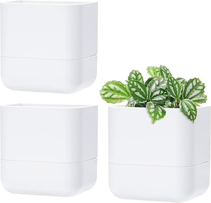Phoenix Vine 6.5 Inch Wall Mounted Self-Watering Planter Pot for Indoor Houseplants and Herbs | Hanging Planter for Window Sills, Bathroom Walls, Home & Office Décor, White, Set of 3, 01-C-D-3
