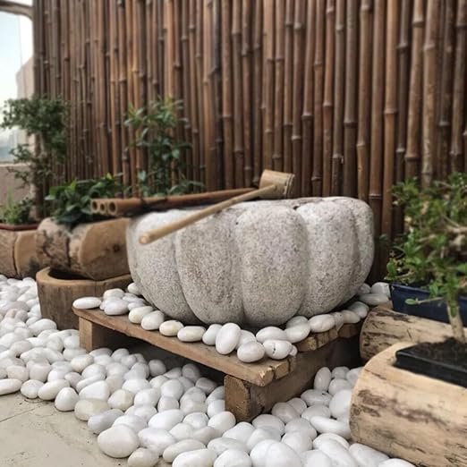 20LB White River Rocks - 2-3 inch High Polished Decorative Pebbles, Stones for Landscaping, Natural River Rocks for Outdoor Décor, Plants,Vase Filler,Fish Tank