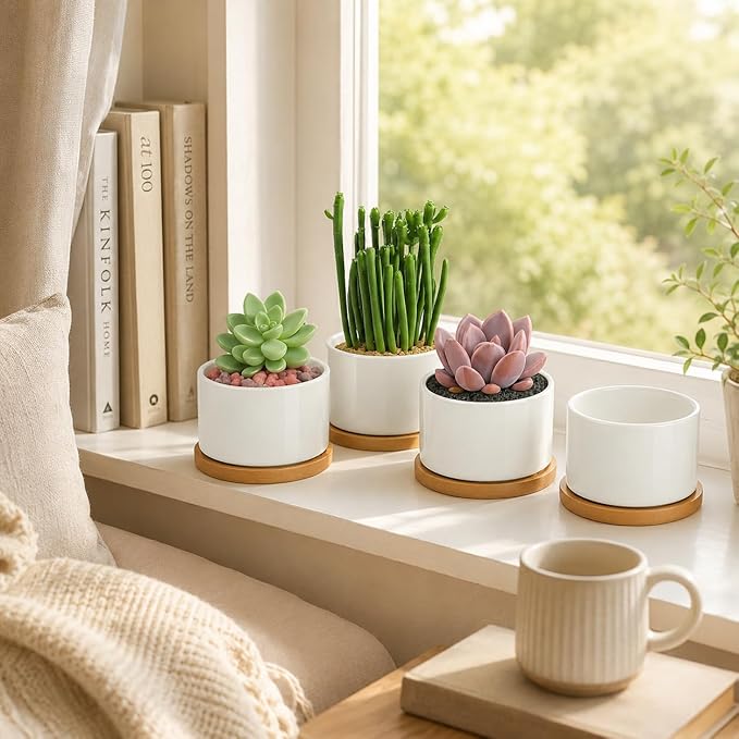 ZOUTOG Succulent Pots 3.15 Inch,4 Pack Succulent Planters,Small Pots for Plants with Drainage and Tray,White Ceramic Flower Planters for Indoor Plants,Home,Office,Desk