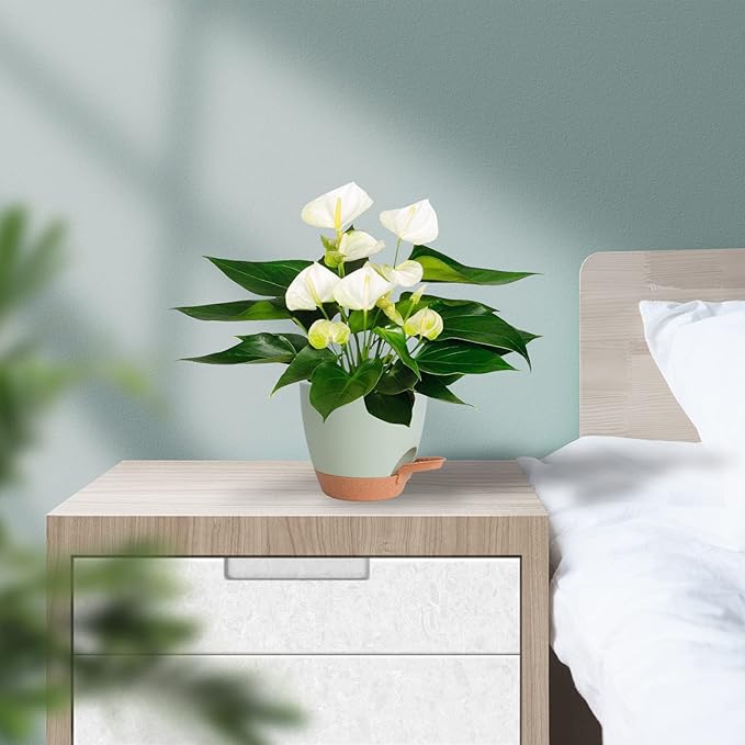 Plant Pots Indoor 7/6.5/6/5.5/5 Inch Self Watering Planters for Indoor Plants with Drainage Hole, Plastic Flower Pots for Succulents, African Violet (Green)