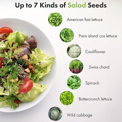 LYKOCLEAN Salad Buttercrunch Lettuce Seeds for AeroGarden, iDOO, Ahopegarden Hydroponics Growing System, 7-pods, 350+ Seeds (Include Spinach, American Fast Lettuce,Paris Island Lettuce, Cauliflower)