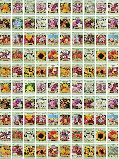 Set of 1000 Assorted Valley Green Flower Seed Packets! Flower Seeds in Bulk - 20+ Varieties Available! (1000)