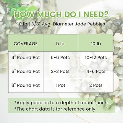 SIDONG 20 LB Jade Pebbles, 2/5 Inch Natural Decorative Polished Jade Stones, Jade River Rocks for Succulents, Cactus, Vases, Indoor Plants, Garden Landscaping, Bamboo