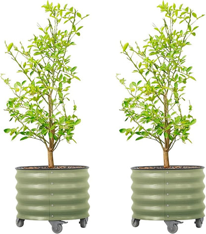 Rolling Metal Citrus Tree Planter Pot, 21″ Round Planter Box for Porch Patio & Backyard, 20 Gallon Large Planter Pot with Wheels for Growing Olive Trees Tomatoes Vegetables Flowers, 2 Pack Olive Green