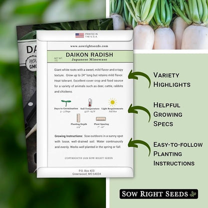 Sow Right Seeds - Japanese Minowase Daikon Radish Seeds for Planting - Non-GMO Heirloom Packet with Instructions to Plant a Home Vegetable Garden - Spring or Fall Planting Outdoors - Long White (3)