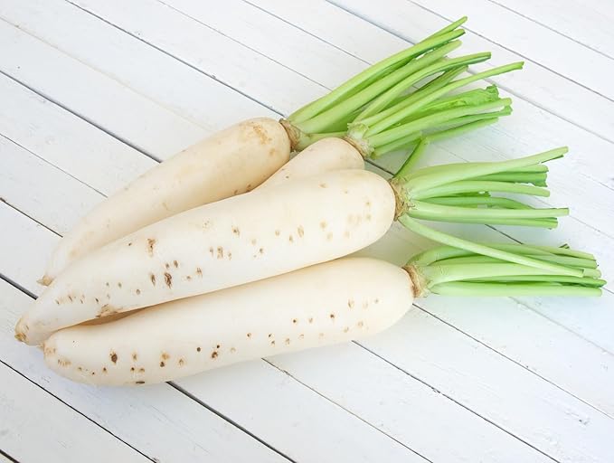 Japanese Daikon Radish Seeds for Planting - 100 Heirloom Non GMO Seeds - Full Planting Instructions to Plant & Grow a Home Vegetable Garden - Great Gardening Gift, 3 Packets