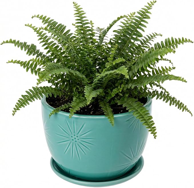 MyGift 7 Inch Round Turquoise Ceramic Plant Pot with Drainage Hole and Attached Saucer, Modern Decorative Embossed Sunburst Planter Container for Indoor Home Garden