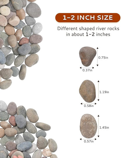 Natural River Rocks-5 lbs of Pebbles and River Stones,1-2 Inch Plant Rocks for Landscaping,Garden Paving,Crafting,Walkways,and Outdoor Decorative Stone,Mexican Beach River Rocks