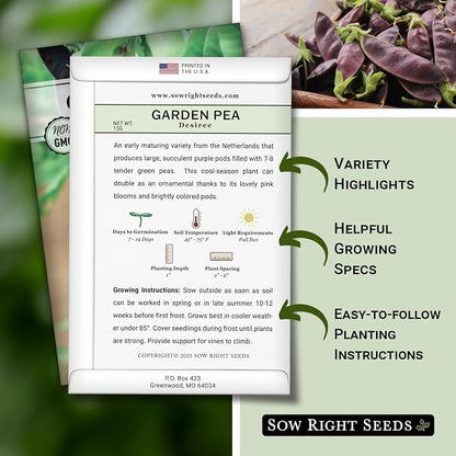 Sow Right Seeds - Desiree Snow Pea Seeds for Planting - Non-GMO Heirloom Packet with Instructions to Plant an Outdoor Home Vegetable Garden - Dwarf Bushes with Purple Pods - Large, Frost Resistant (3)