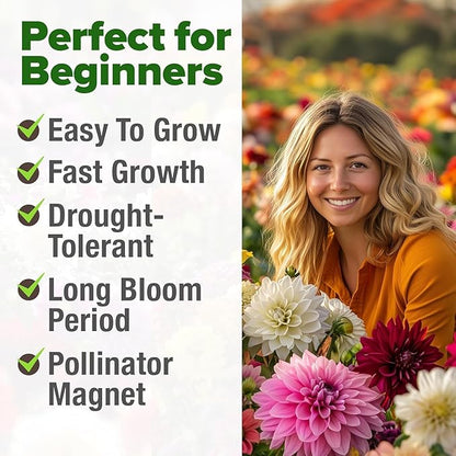 HOME GROWN USA Premium Zinnia Dahlia Seeds Pack for 2026,1048 Non-GMO Flower Seeds, Vibrant Zinnia Elegans for Planting Pollinator Gardens, Borders & Containers, Easy-to-Grow Outdoor Blooms