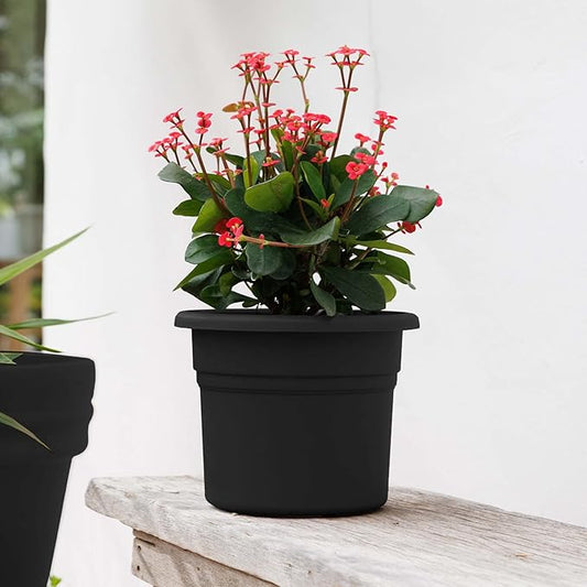 Bloem Posy 6" Black Round Resin Planter Pot Indoor and Outdoor Gardening