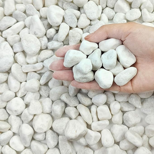 FANTIAN 10 lbs White River Rocks for Garden, 0.5-1 Inch Pebbles for Indoor Plants, Decorative Stones for Landscaping, Succulent, Vases, Aquariums and Zen Garden