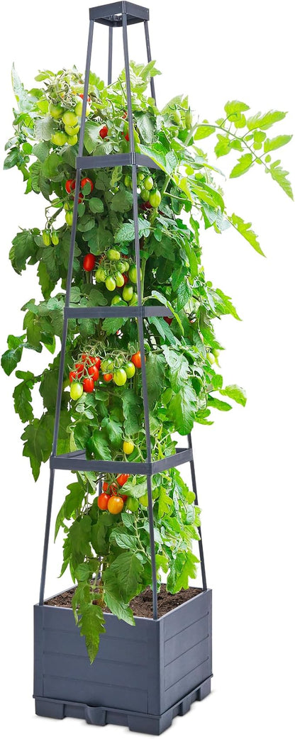 GENMOUS 4 Tiered Tomato Planter with Box Trellis, 56'' Raised Garden Bed Planter Boxes, Tomato Cages for Garden Patio Climbing Plants Vegetable Vine Flowers Outdoor & Indoor（1 Pack)