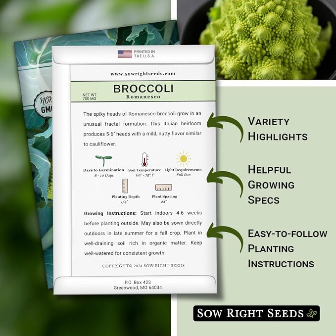 Sow Right Seeds - Romanesco Broccoli Seeds for Planting - Non-GMO Heirloom Packet with Instructions to Plant an Outdoor Home Vegetable Garden - Great for Salads - Abundant Harvest - Cold Hardy (1)