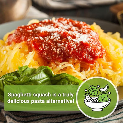 Sow Right Seeds - Spaghetti Squash Seeds for Planting - Non-GMO Heirloom Packet with Instructions to Plant and Grow an Outdoor Home Vegetable Garden - Roast and Enjoy Eating This Favorite Variety (3)