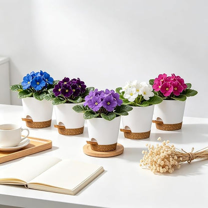 12 Pack 4 Inch African Violet Pots Self Watering, Self-Watering Planters with Drainage Holes & Reservoir, White Brown Plastic Pots for Indoor Outdoor Plants, Succulents & Flowers