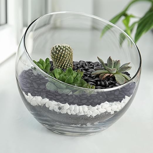 Pulovin 2.5 lbs Black Pebbles for Indoor Plants, Succulent, Bamboo, Vase, 3/8" Plant Rocks for Pots Indoor, Small River Rocks Decorative Pea Gravel, Highly Polished