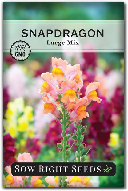 Sow Right Seeds - Large Mix Snapdragon Seeds for Planting - Non-GMO Heirloom - Vibrant, Hardy Snap Dragons for Garden & Planter Boxes - Easy to Grow - Perfect for Border Planting & Cut Flowers (1)