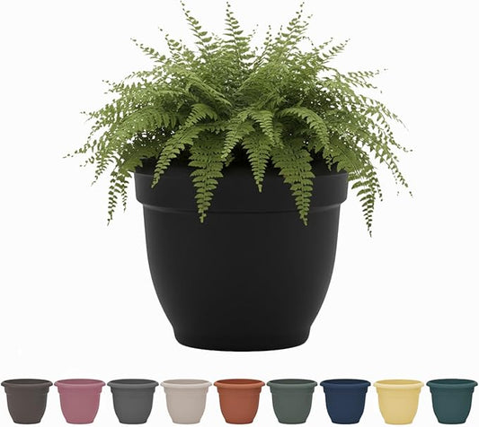 Bloem Ariana 10" Black Round Self-Watering Resin Planter Pot - Rolled Rim Indoor and Outdoor Gardening Planter