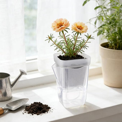 10 Pack 2.5" Self Watering Pots for Indoor Plants, Mini Clear Plastic Planters Water Level Indicator, with Drainage Holes, Cuttings, Seedlings, Herbs, African Violets