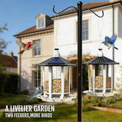 Birdream Solar Bird Feeders for Outdoors Hanging, Assembly Required, 1-Min Easy Setup, Wild Seed Feeders for Cardinals Chickadees and Finches