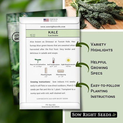 Sow Right Seeds - Lacinato Kale Seed for Planting - Non-GMO Heirloom Packet with Instructions to Plant a Home Vegetable Garden - Very Nutritious Superfood, Grow This Dinosaur Variety (1)