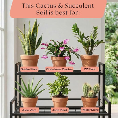 Rosy Soil Cactus & Succulent Potting Mix, 4qt, Pack of 2 | Organic Succulent Potting Soil, Chunky Fast Draining, Peat-Free, Root Boosting Mix, For AloeVera, Cacti, Indoor Succulents
