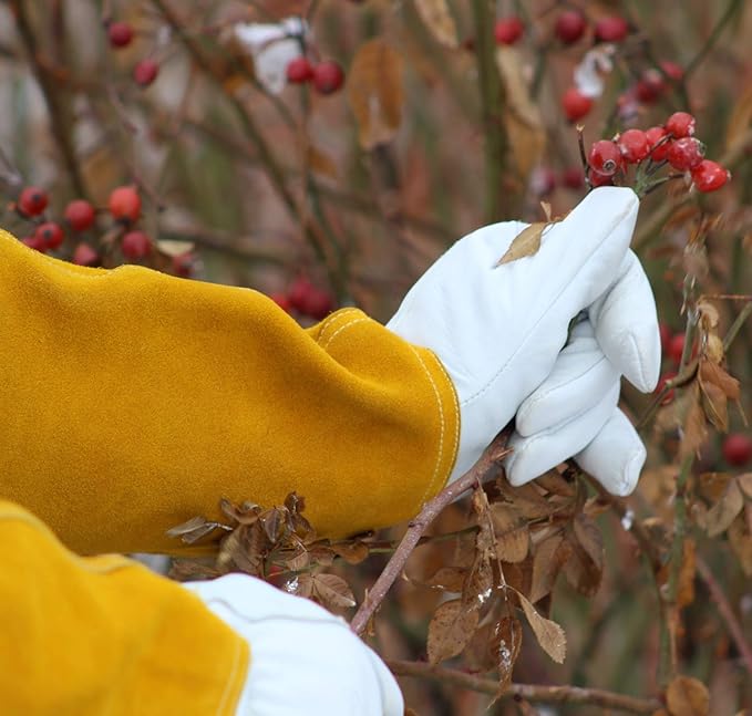 Garden Gloves Thorn Proof Rose Pruning XS Small Medium Large XL XXL 3XL