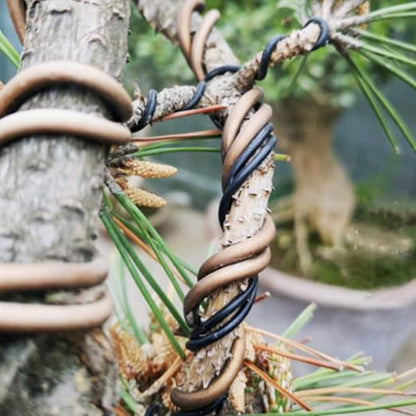 Bonsai Wire Kit 160ft with Cutter & Canvas Bag| 5 Rolls Aluminum Bonsai Training Wire Set for Tree Shaping| Bonsai Tools, Plant Training Wire, Bonsai Starter Kit Supplies for Beginners & Professionals