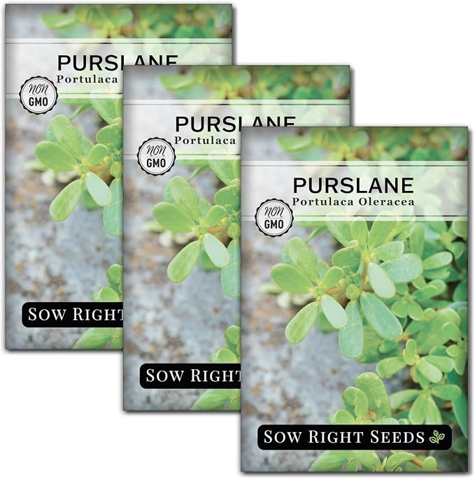 Sow Right Seeds - Purslane Seeds for Planting - Non-GMO Heirloom Packet with Instructions to Grow an Outdoor or Indoor Vegetable Garden - Rare Edible & Culinary Variety - Medicinal Benefits & Uses (3)