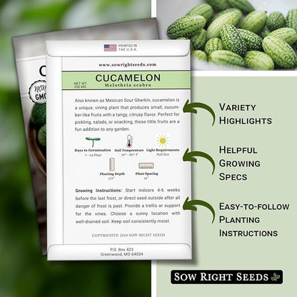 Sow Right Seeds - Cucamelon Seeds for Planting - Non-GMO Heirloom Packet with Instructions to Plant an Outdoor Home Vegetable Garden - Mini Bitter Mouse Melon, Mexican Sour Gherkin - Rare Variety (3)