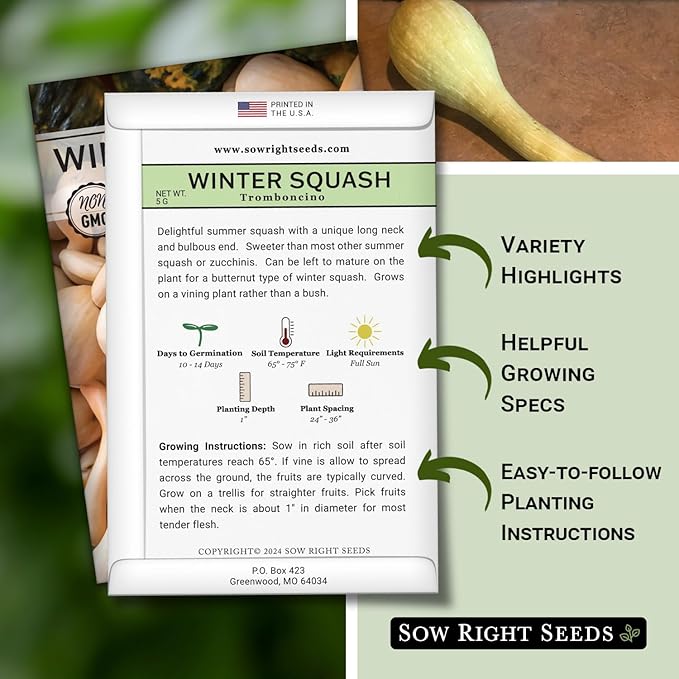 Sow Right Seeds - Tromboncino Rampicante Squash Seeds for Planting - Non-GMO Heirloom Packet with Instructions to Plant a Home Vegetable Garden - Grow Tasty Squash at Home, Great for Cooking